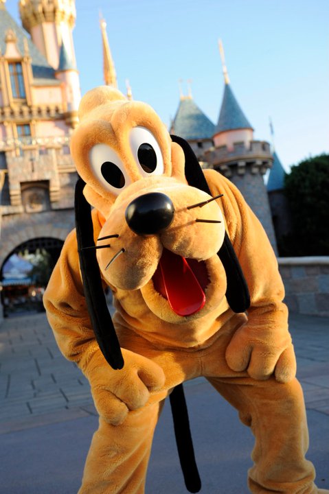 pluto-pluto-the-dog-34423163-479-720.jpg