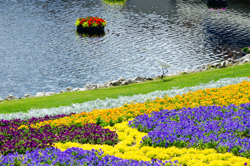 DSC1311-L.jpg