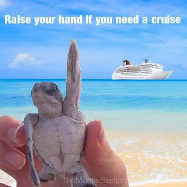 raise-your-hand-if-you-need-a-cruise.png.webp
