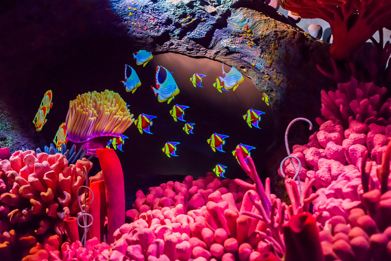 DSC_0722-L.jpg