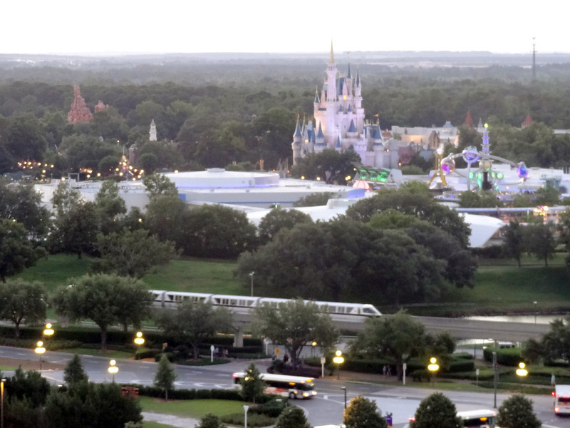 DSC01886-L.jpg