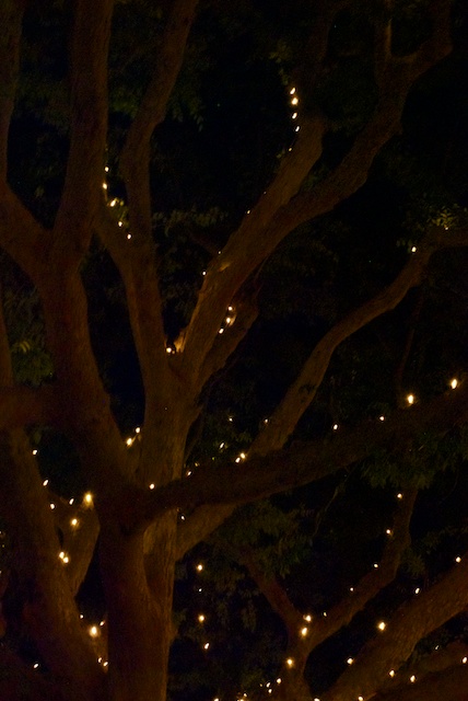 dl-night-19.jpg