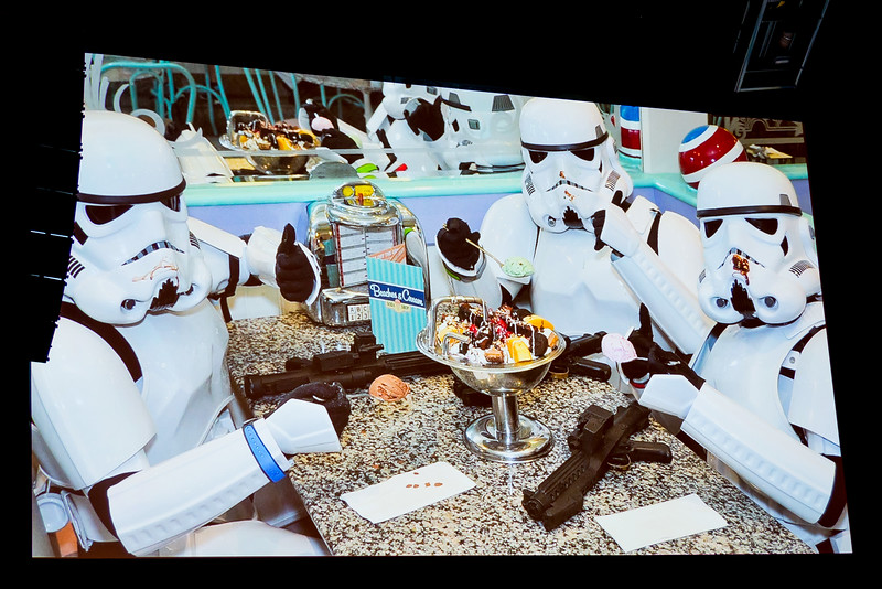 DSC_6449-L.jpg