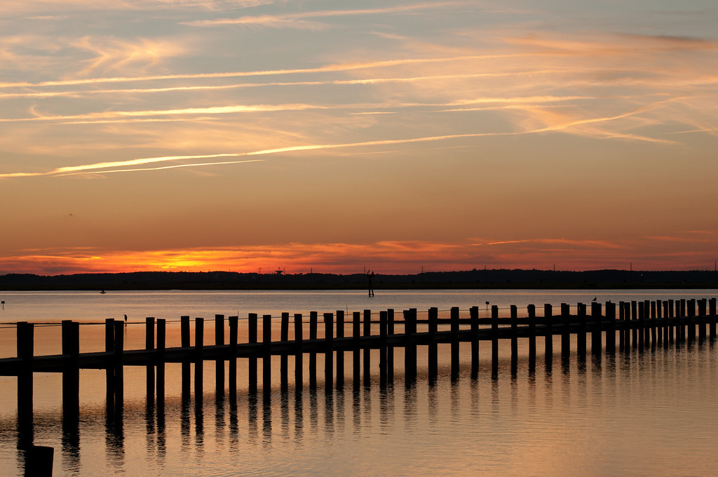 chincoteague-658-XL.jpg