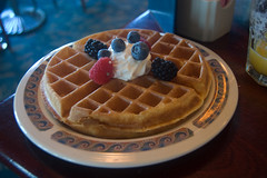 3934809543_59e58daff6_m.jpg