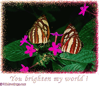 1021-006-10-1042.gif
