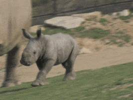200.gif