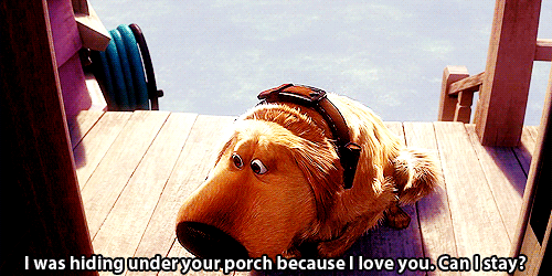 tumblr_lpok5mGk7l1qm6oc3o1_500.gif