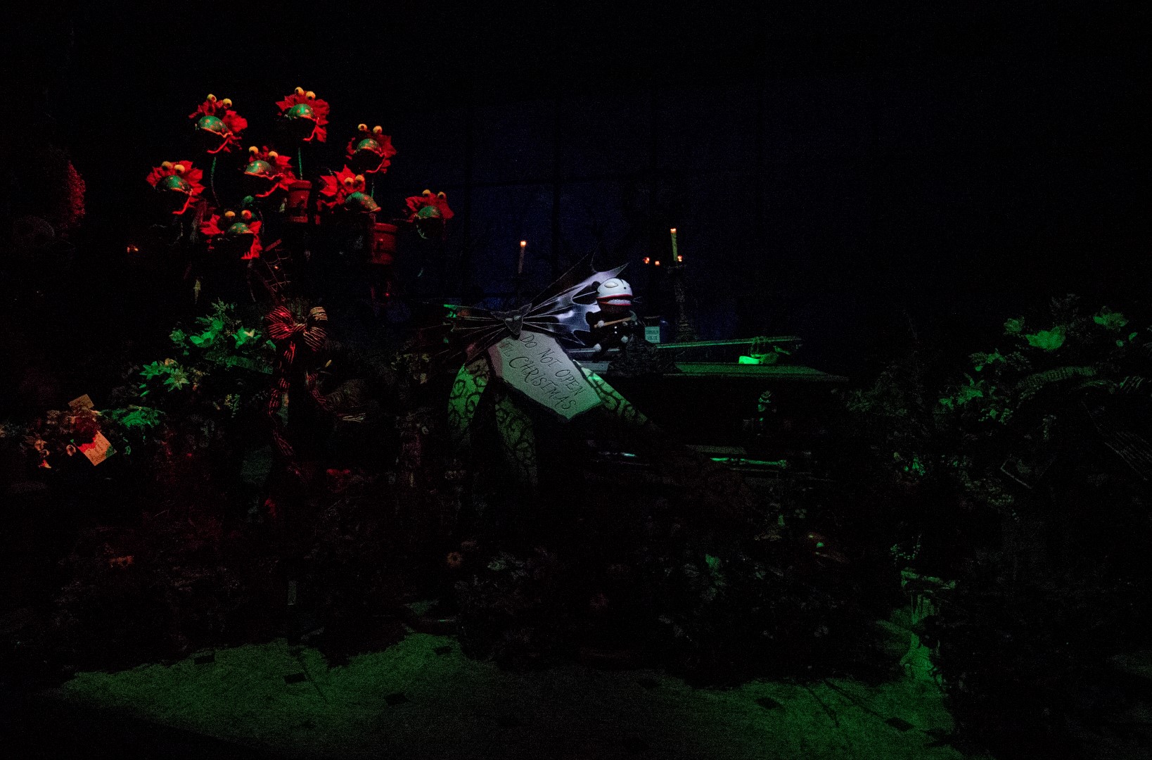 DSC_4107%20(Large).jpg