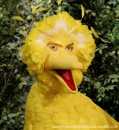 tumblr_le6yxy3dKR1qfhbkko1_500.jpg