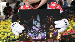 tumblr_lt2xencW3c1qgcqyeo3_250.gif