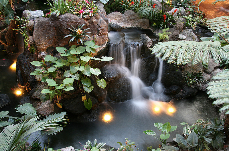 p315099322-4.jpg