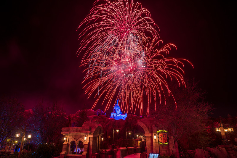 DSC_7452-L.jpg