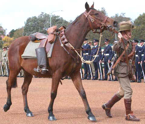 guard-horse.jpg