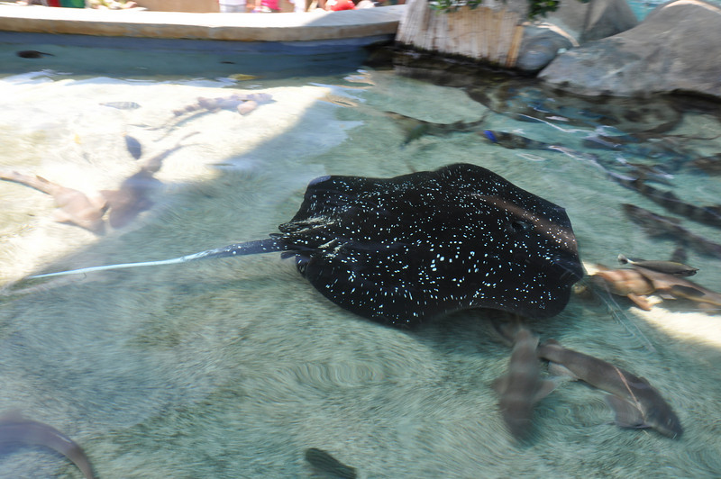 600330438_kprQ4-L.jpg