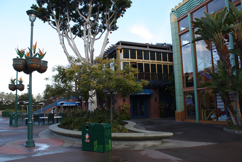 IMG9111-L.jpg