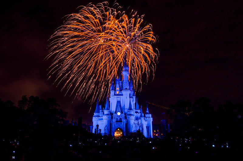 DSC1830-L.jpg