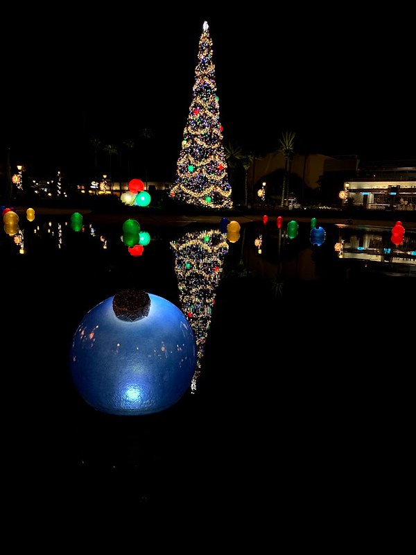 51692288886_9a666cb09f_c.jpg