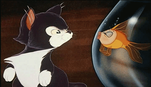 tumblr_leriq2rm2N1qfr1m4o1_500.gif