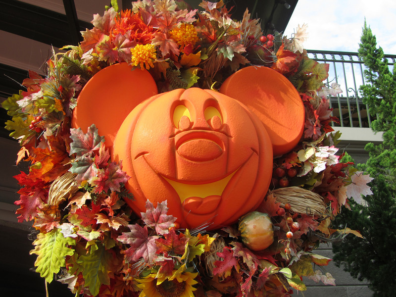 IMG_2457-L.jpg