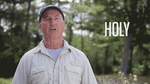 Oak island GIFs - Get the best GIF on GIPHY