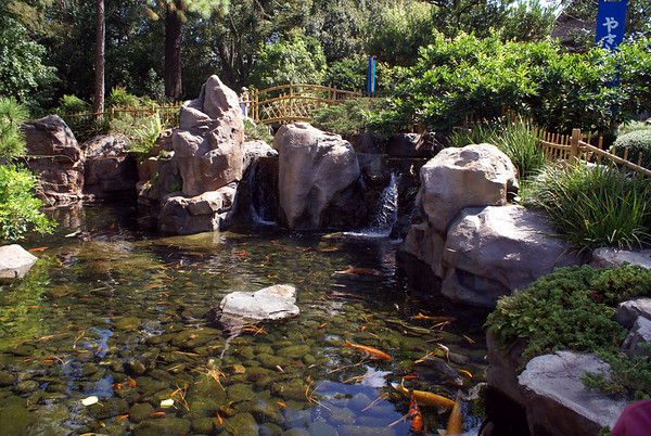 400895945_VkRSZ-M.jpg