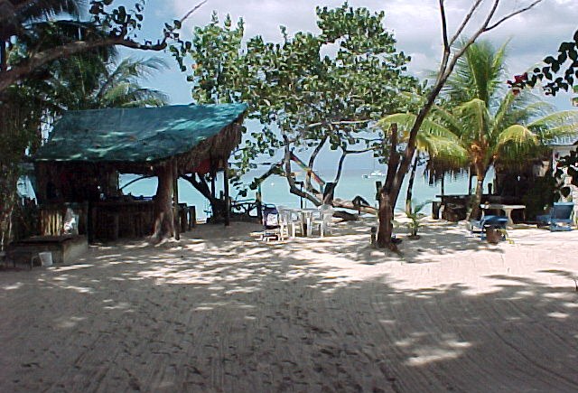 0cb80b30.jpg
