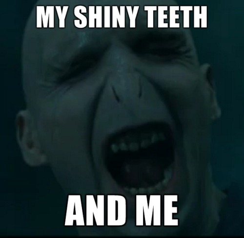 tumblr_l712odHgD31qcdy6wo1_500.jpg
