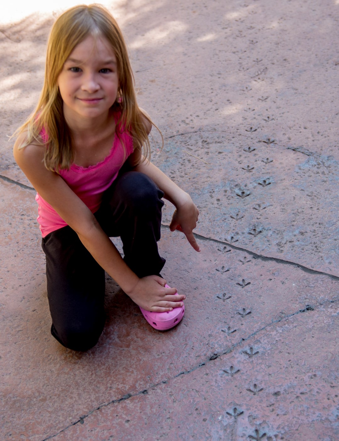 DSC_8643%20(Large).jpg