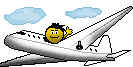 pilot.gif