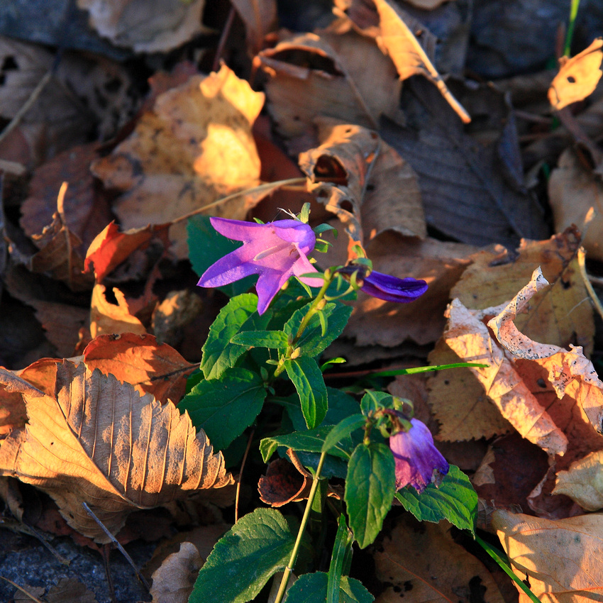 p620233971-5.jpg