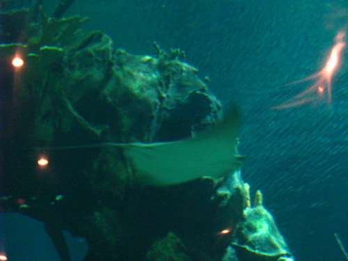 2868299944_0d0a8d63cc.jpg