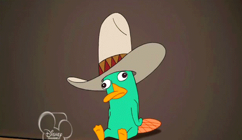 tumblr_m5rv3nQ2DB1rxvuvmo1_500.gif