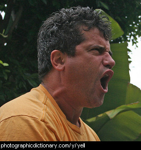 yell.jpg