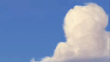 tumblr_lohgx6EdTj1qcpcy8o3_250.gif