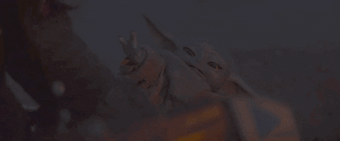 giphy.gif