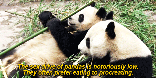 tumblr_mlvu6tXLHd1s5uuaqo1_500.gif