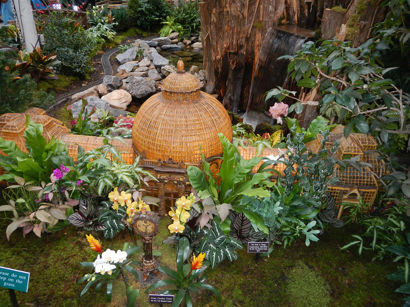 DSCN9557-L.jpg
