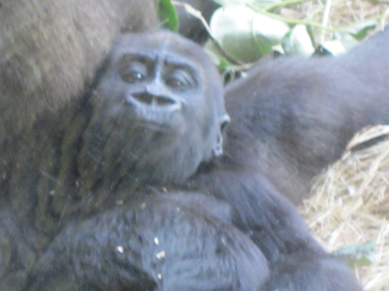 IMG0302-L.jpg