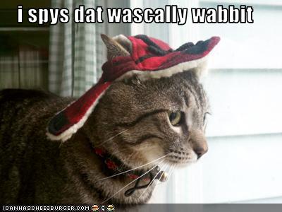 wascally.jpg