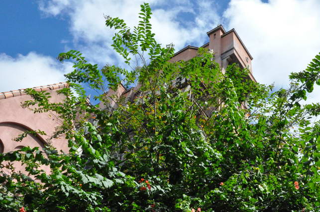 DSC_0180.JPG