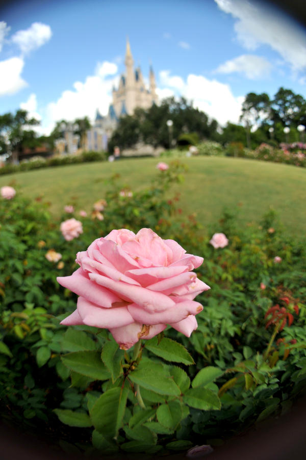 wdw_cli_by_ldfranklin-d5iexat.jpg