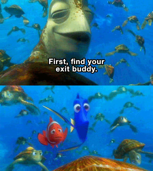 tumblr_lnbjvp7j0u1qk6yn9o1_500.gif