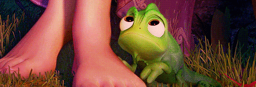 tumblr_lxngmkQ86t1r6h4d9o1_500.gif