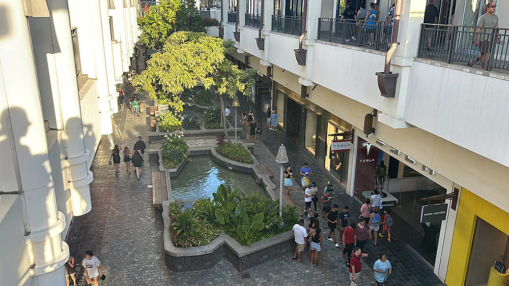 JPG1253.jpg