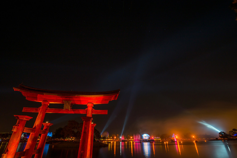 DSC_2611-L.jpg