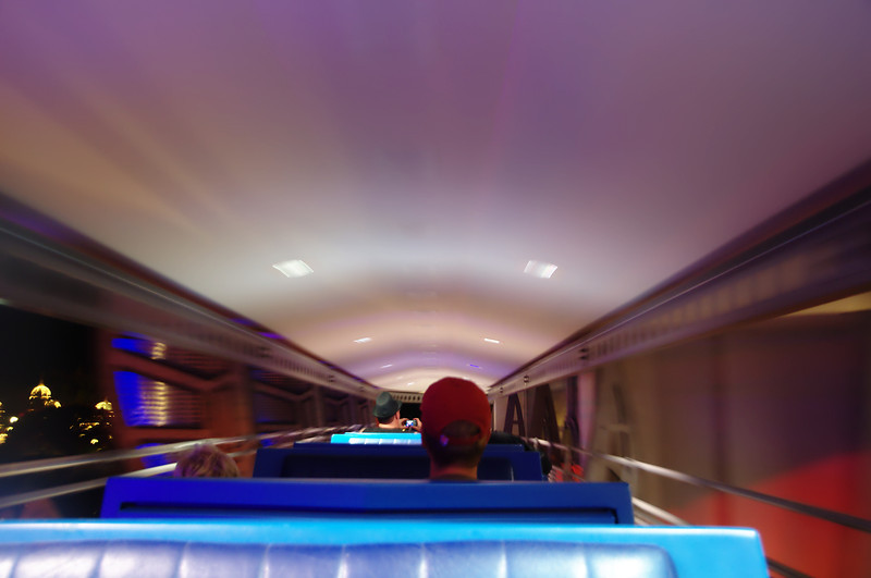 DSC6305-L.jpg