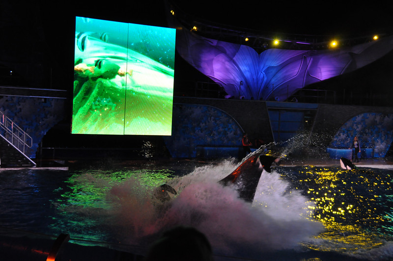 588789573_ycmAD-L.jpg