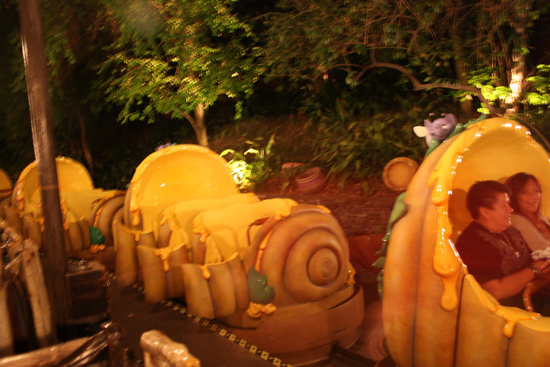 IMG9560-L.jpg