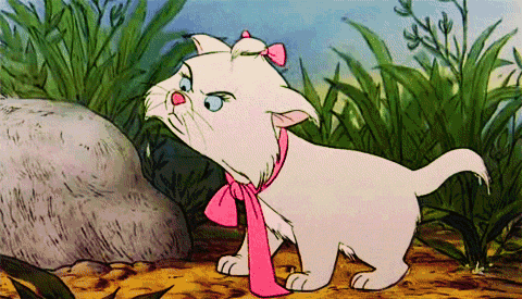 tumblr_lxlt908UZh1r9fcwro1_500.gif